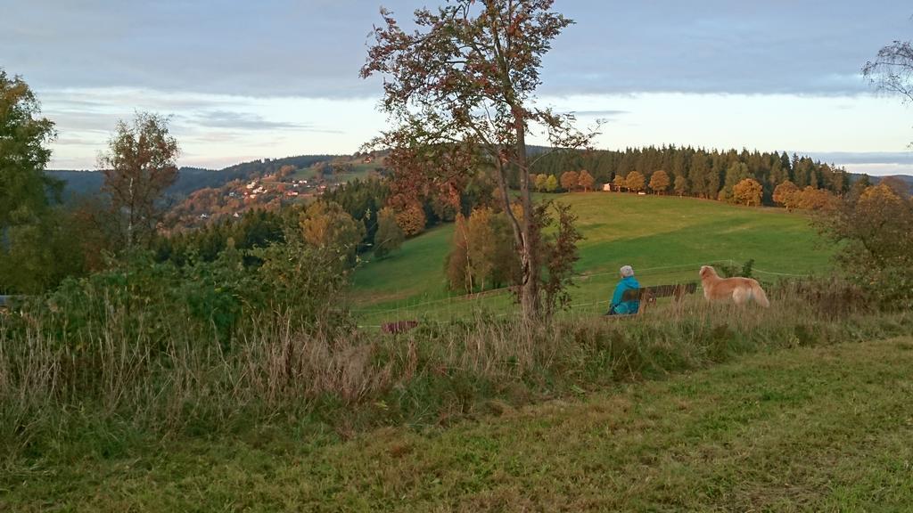 Elisabeth Apartment Klingenthal