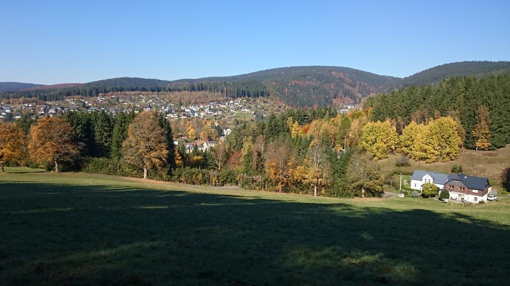 Elisabeth Apartment Klingenthal
